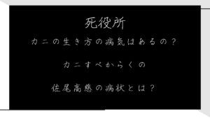 カニの生き方の病気って本当にあるの？カニすべからくの佐尾高慈の病状とは？