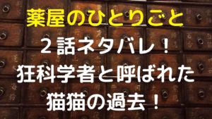 薬屋のひとりごと２話ネタバレ！狂科学者と呼ばれた猫猫の過去！