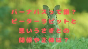 バーナバスって誰？ピーターラビットと悪いうさぎとの関係や正体は？